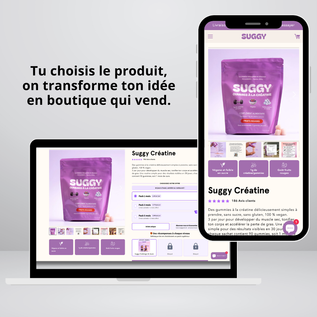 BOUTIQUE PRO ECOM
