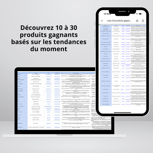 LISTE DE PRODUITS GAGNANTS